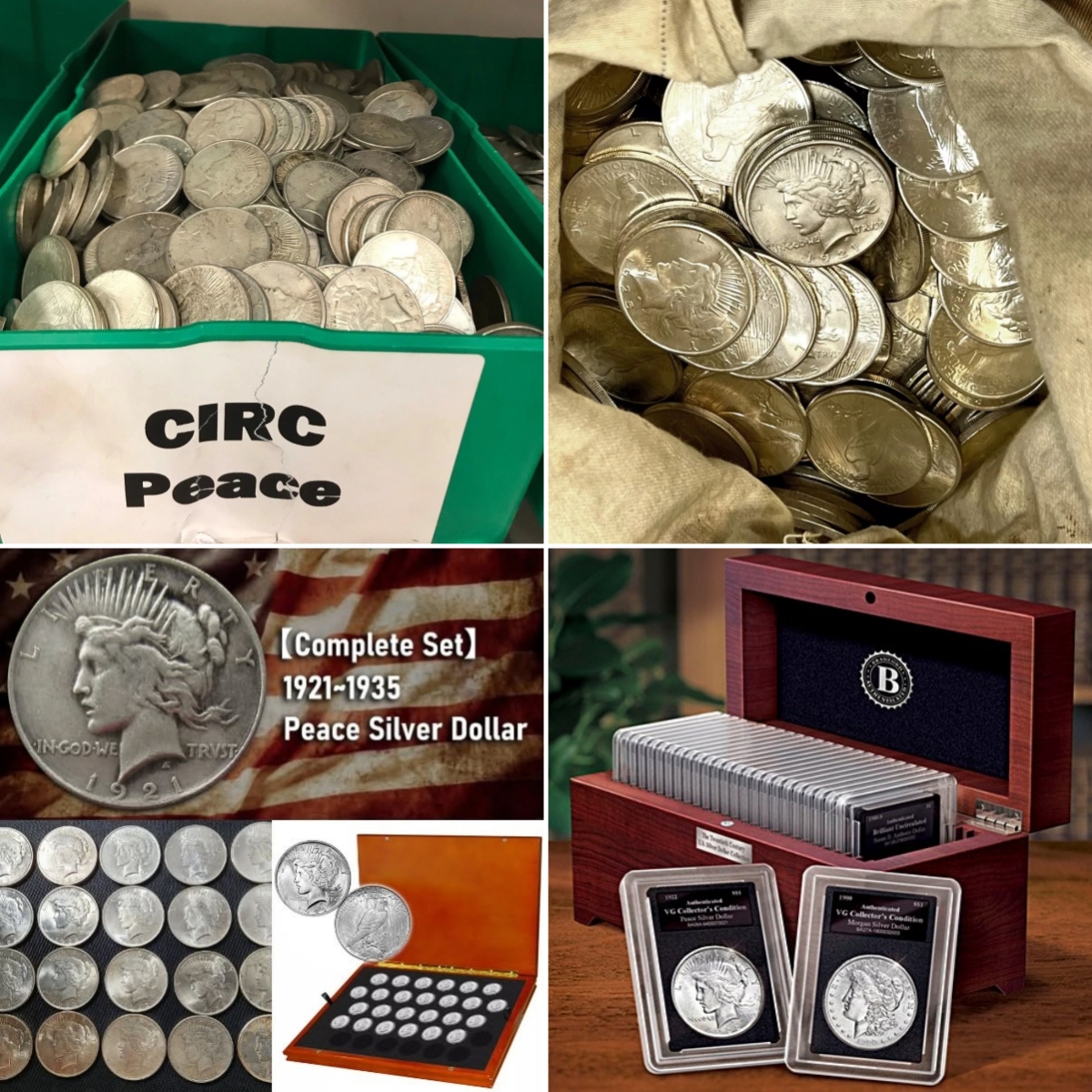 💥Last 15 sets‼️🔥The Complete Collection of 1921~1935 Peace Silver Dollar 12Pcs