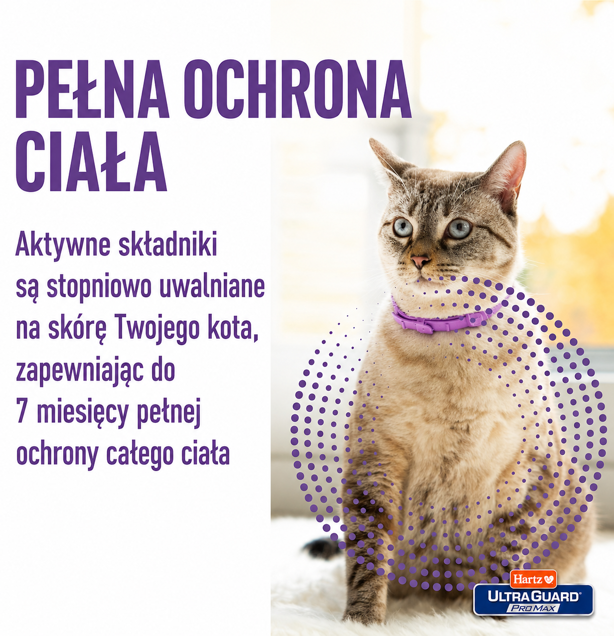 [Copy]Podróżny kubek ze stali nierdzewnej Ember z regulacją temperatury 2, pojemność 12 oz, podgrzewany kubek do kawy sterowany aplikacją, żywotność baterii do 3 godzin, ulepszona konstrukcja, kolor czarny