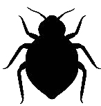 non-toxic-100-safe-bed-bug-killer.jpeg