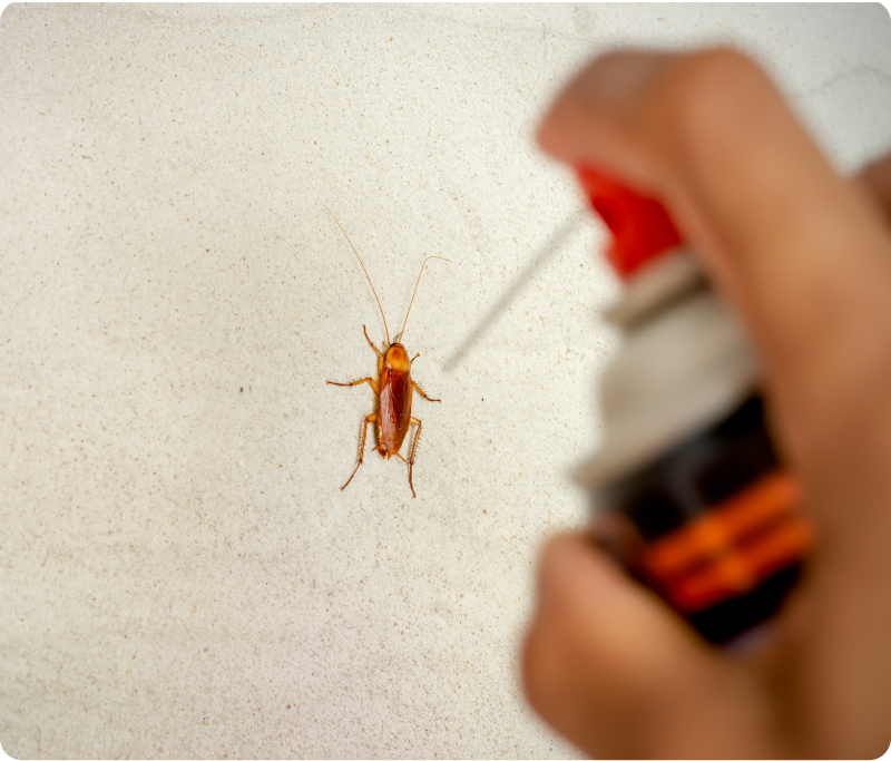 Pest Control Products