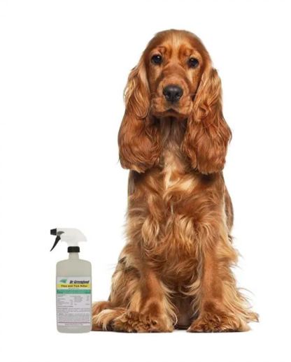 Dr Greengood Topical Flea and Tick Killer- 20 Oz. Bottle (Ready to Use)