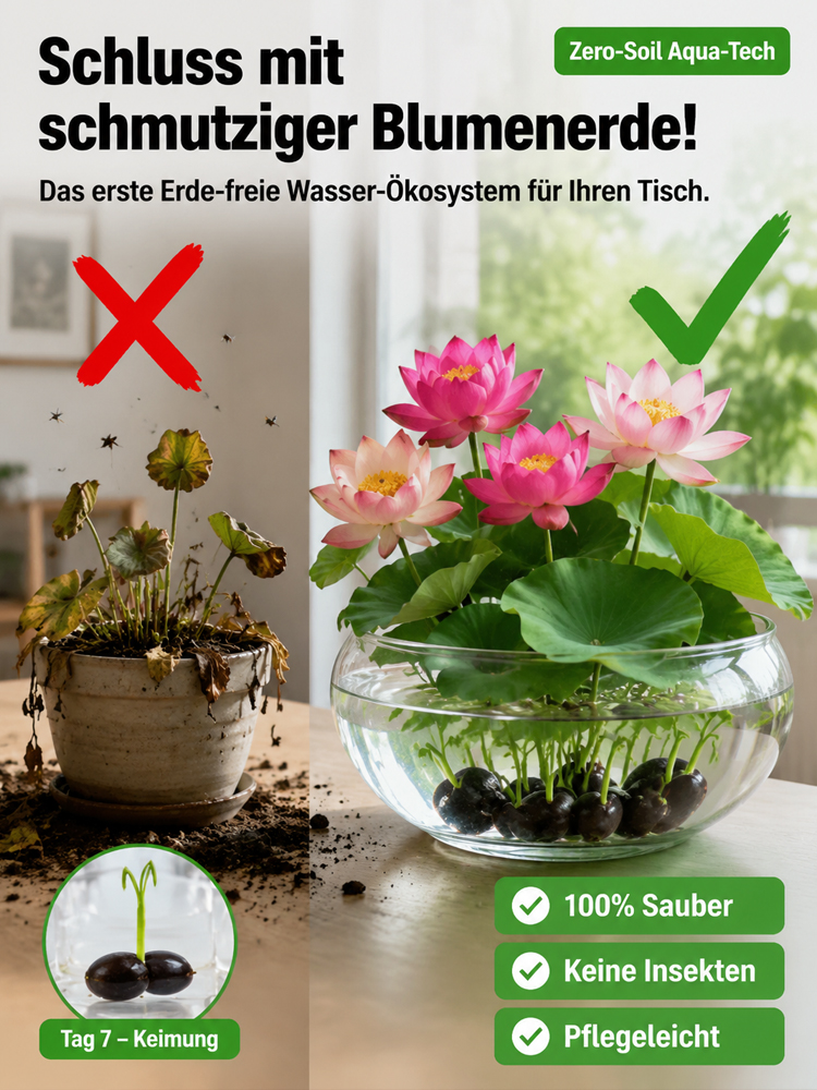 [Nach 7 Tagen sprießen grüne Keime, und nach 30 Tagen blüht es.]  Hydroponische Lotussamen ✨ Natürliche Aromatherapie