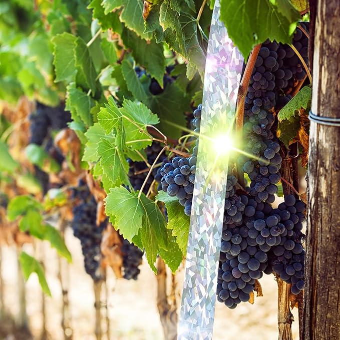 2 Rollen 80m x 2.4cm Vogelabwehr Vogelband, Vogelschreck Vogelabwehr, Reflektierendes Vogelabwehrband, Abwehrband Vogel Band Reflexion Reflektorband zur Vogelabwehr, für Protect Gärten Höfe Pflanze