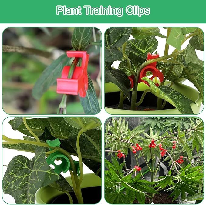 qianduoduo 60 Stück Pflanzenbieger,Pflanzen bieger Clips,90 Grad Pflanzenbieger Low Stress Training Clips,Pflanzen Training Clips,Gardening Plant Support(Rot+Grün)