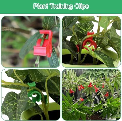 qianduoduo 60 Stück Pflanzenbieger,Pflanzen bieger Clips,90 Grad Pflanzenbieger Low Stress Training Clips,Pflanzen Training Clips,Gardening Plant Support(Rot+Grün)
