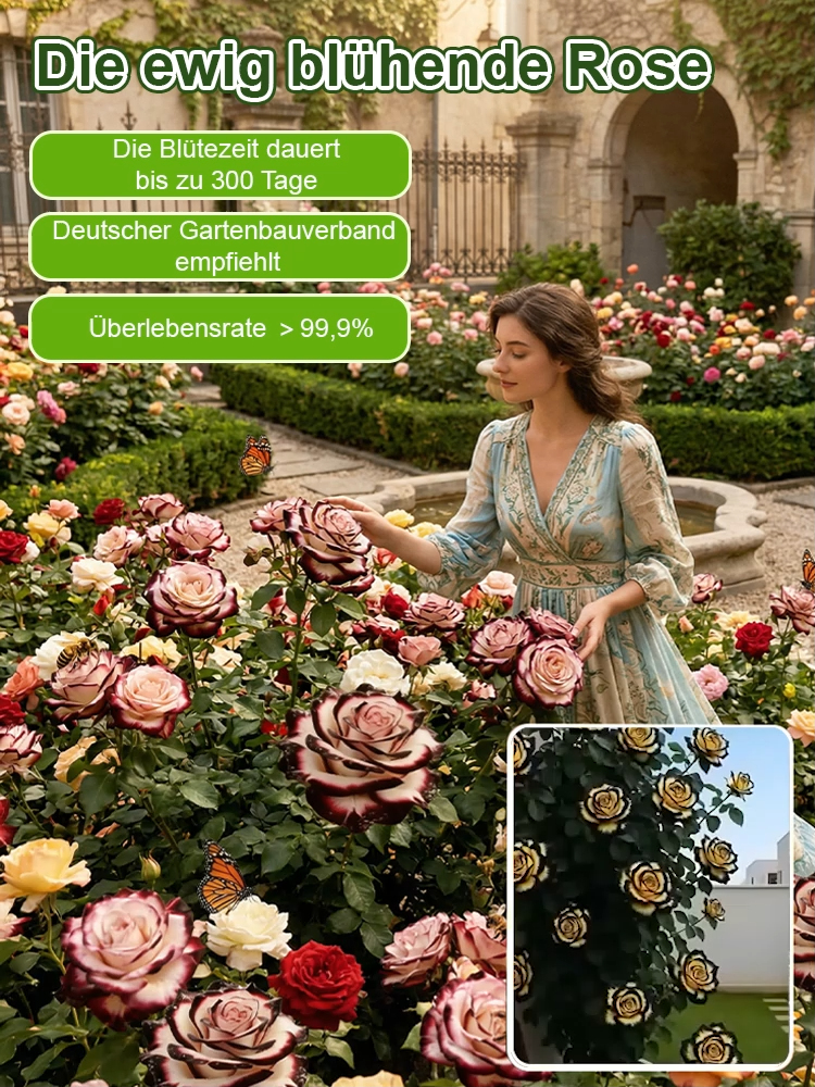 Die „Galaxie-Rose“ – die unvergängliche Schönheit der Blumenwelt 🌸Blütezeit bis zu 300 Tagen ✨Winterhart bis -20°C 🌿100% Anwachsgarantie ✨Pflegeleicht – nur gießen erforderlich