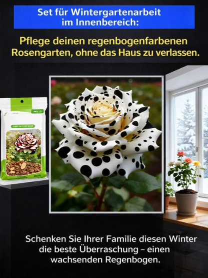 Mehrköpfige gefleckte Rosensamen