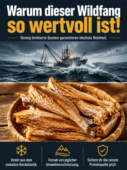 【Snack ohne Reue】Handentgrätete Wildfisch-Snacks|7x Protein・Low Fat|0 Zusätze・Fitness-Snack✨