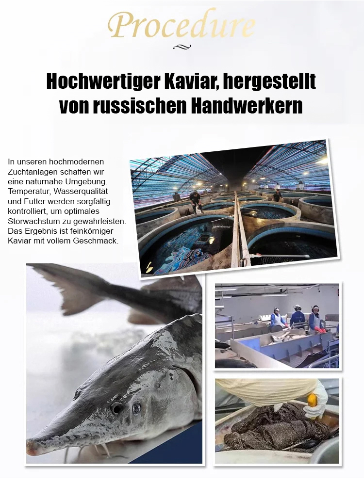 Premium Russischer Kaviar | Wildfang aus der Kaspischen See | 180 Tage haltbar 