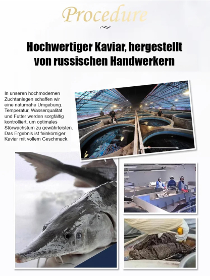 Premium Russischer Kaviar | Wildfang aus der Kaspischen See | 180 Tage haltbar 