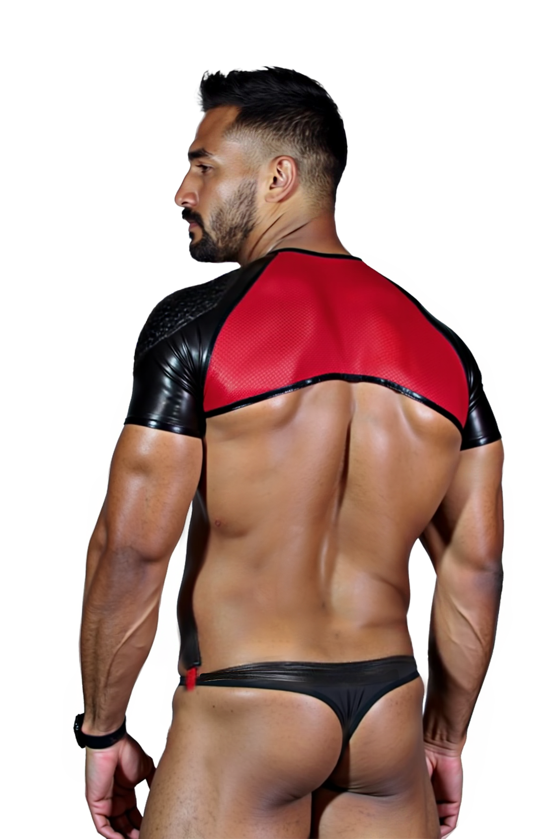 Spartan Shoulder Harness