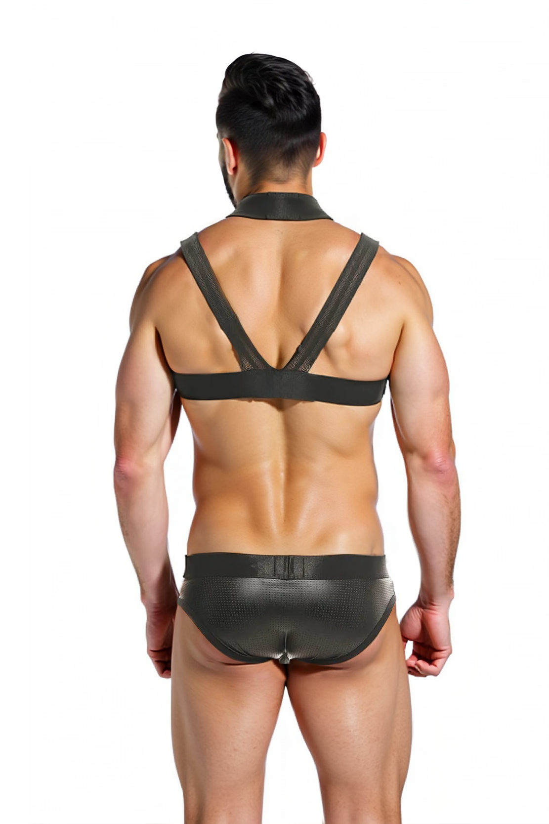 Defiant Warrior Harness