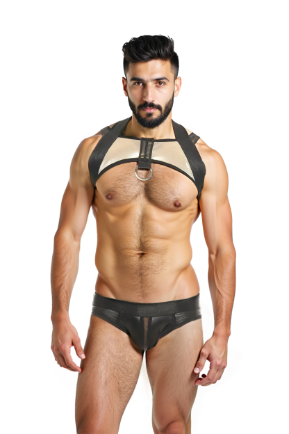 Defiant Warrior Harness