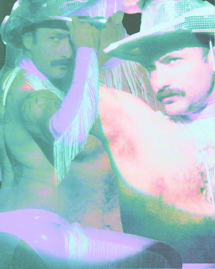 Vinyl Unicorn Set（Without a hat）