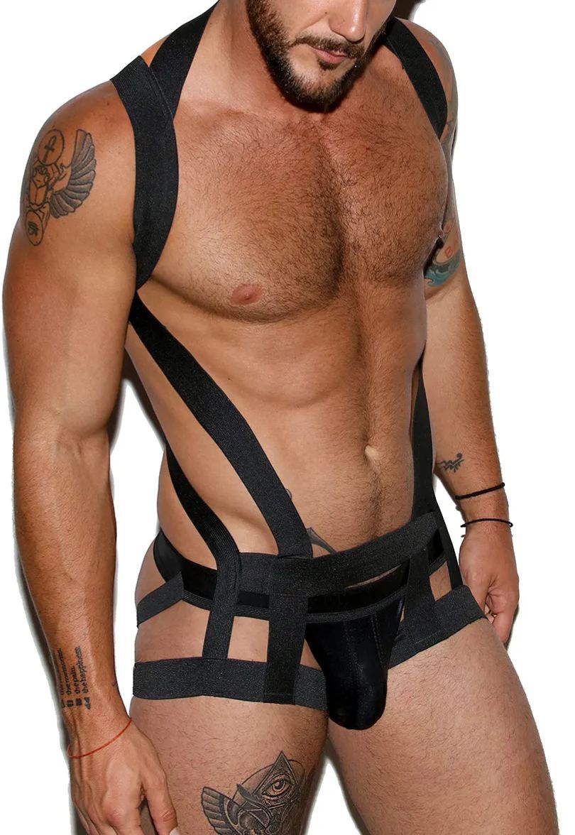 Agent Harness