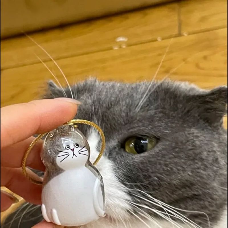 Fur-ever Loved Cat Hair Memorial Pendant