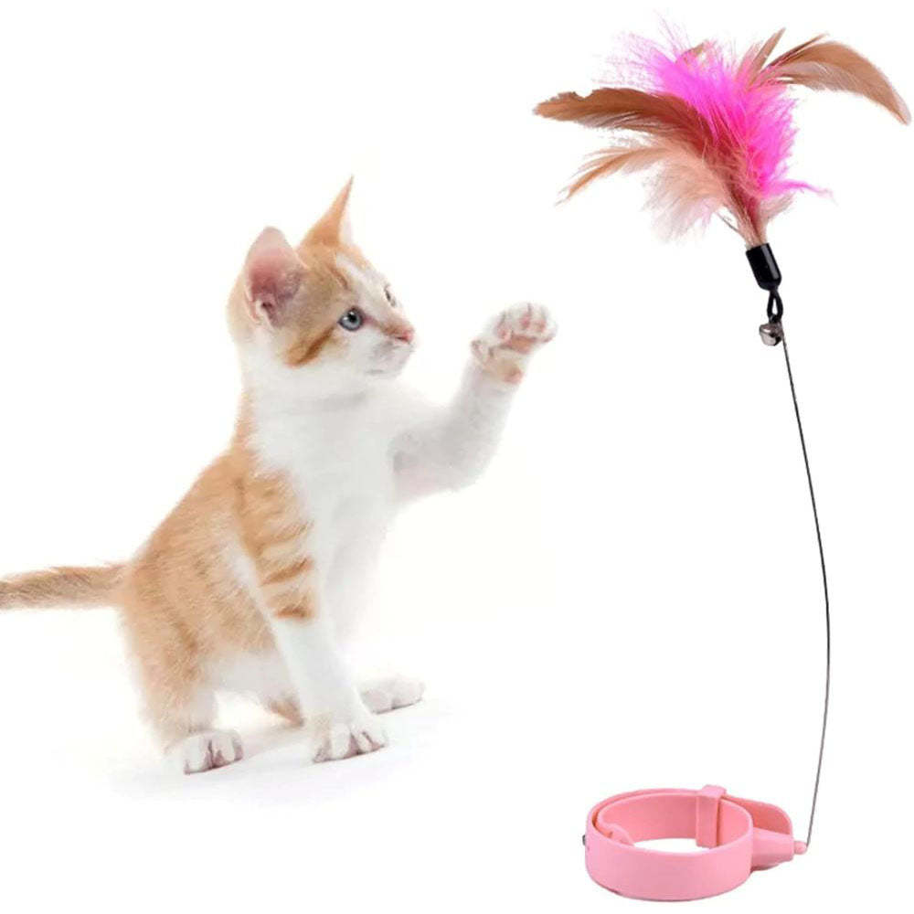 Pet Feather Wand with Flexible Steel Wire and Colorful Feathers for In