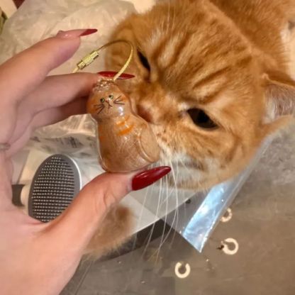 Fur-ever Loved Cat Hair Memorial Pendant