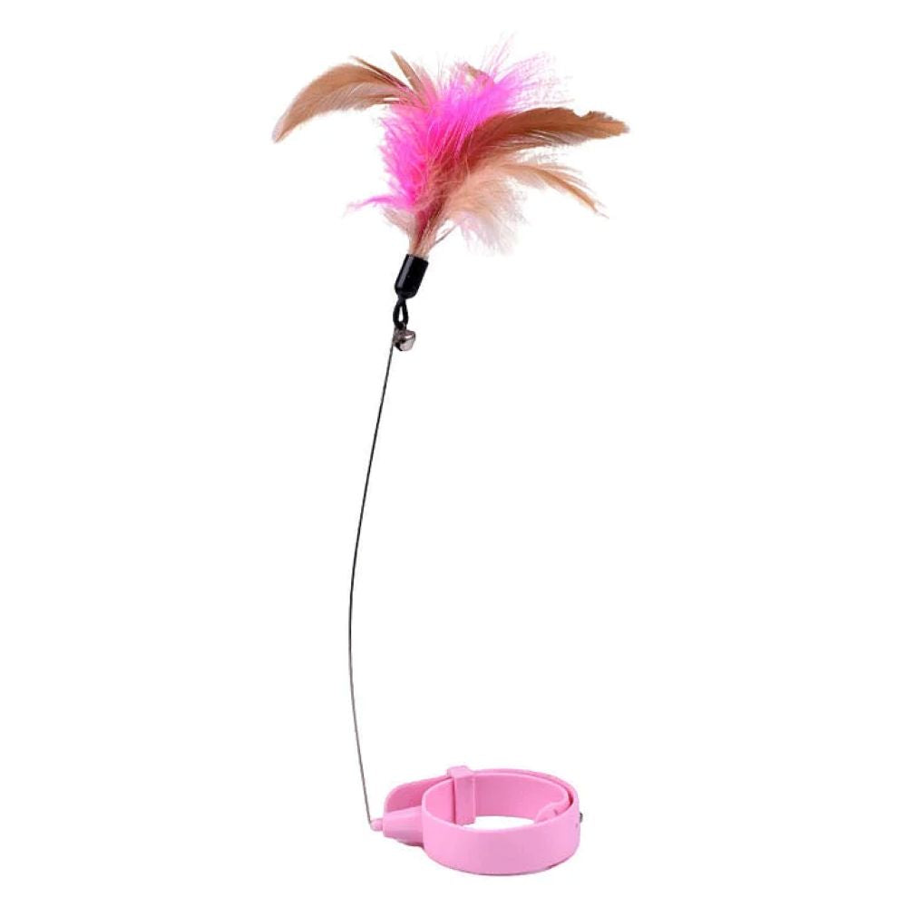 Pet Feather Wand with Flexible Steel Wire and Colorful Feathers for Interactive Cat Play