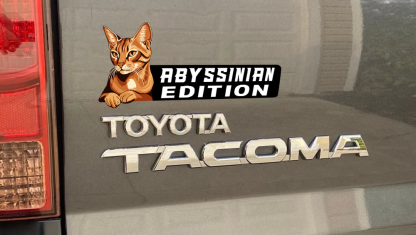 Abyssinian Cat Car Badge Laser Cutting Car Emblem CE174