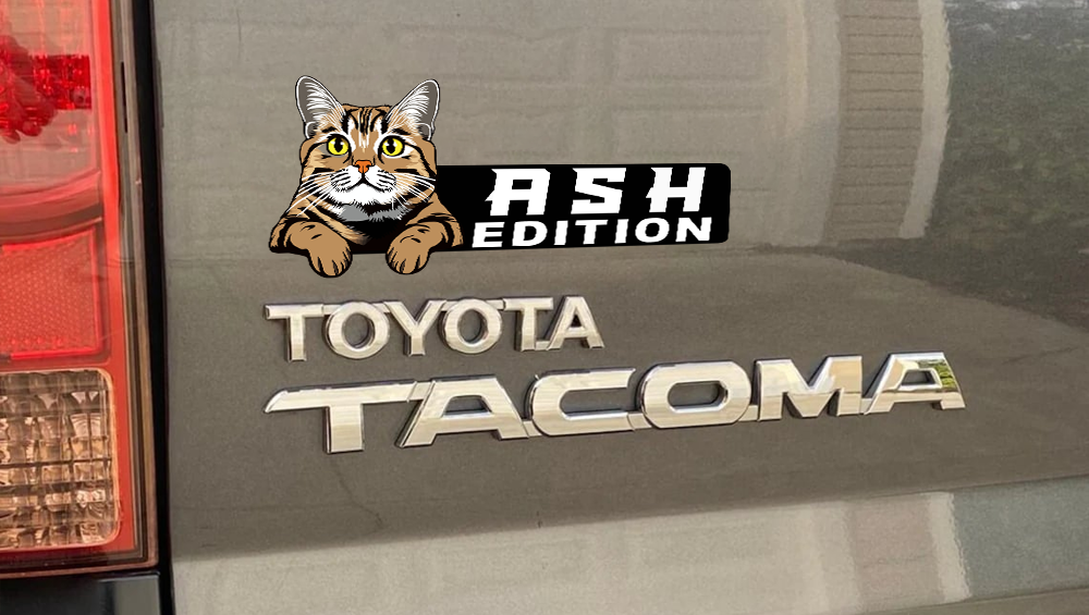 American Shorthair Cat Car Badge Laser Cutting Car Emblem CE176