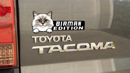Birman Cat Car Badge Laser Cutting Car Emblem CE178
