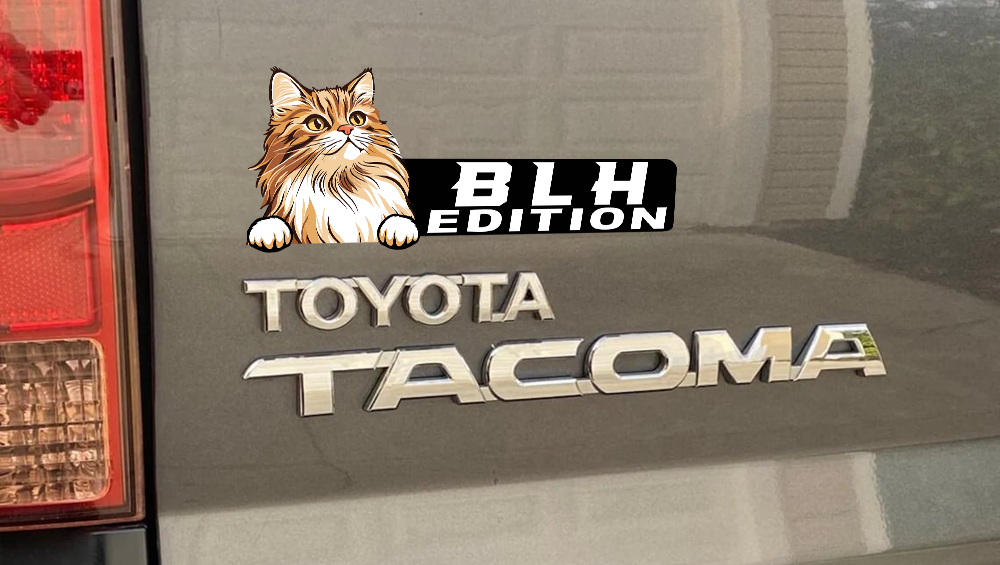 British Longhair Cat Car Badge Laser Cutting Car Emblem CE180