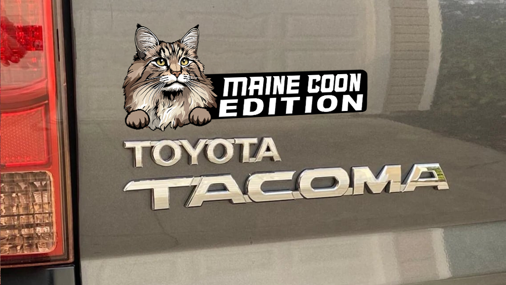 Maine Coon Cat Car Badge Laser Cutting Car Emblem CE182