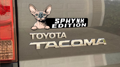 Sphynx Cat Car Badge Laser Cutting Car Emblem CE190