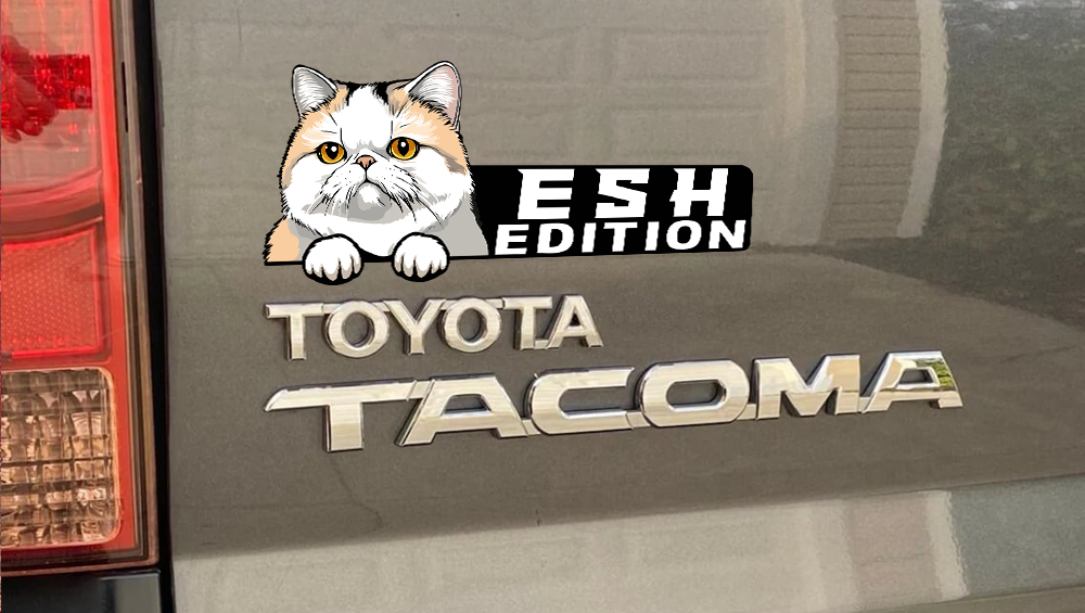 Exotic Shorthair Cat Car Badge Laser Cutting Car Emblem CE201