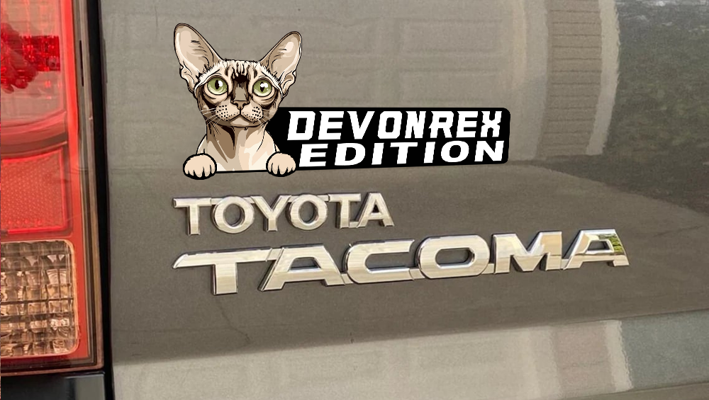 Devonrex Cat Car Badge Laser Cutting Car Emblem CE203