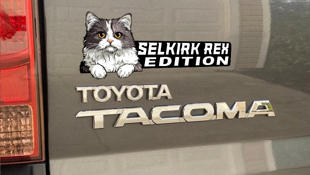 Selkirk Rex Cat Car Badge Laser Cutting Car Emblem CE207