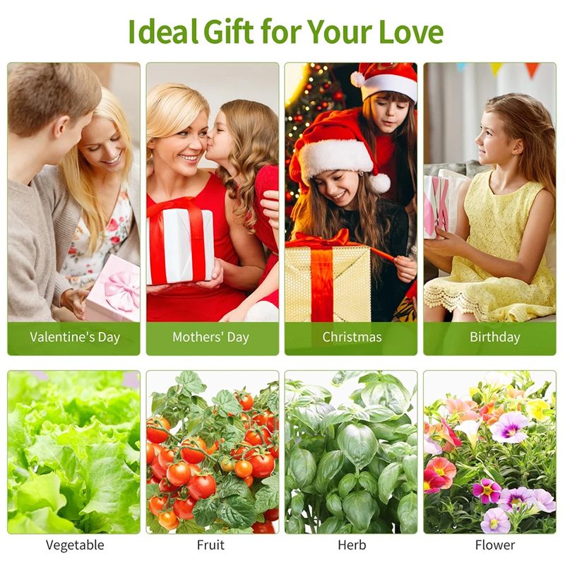 12 Pods Hydroponic Grow System Kit with LED Growth Lamp Fresh Herbs Ideal gift for gardeners and plant lovers, great experience using hydroponic with kids