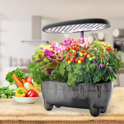 12 Pods Hydroponic Grow System Kit with LED Growth Lamp Fresh Herbs