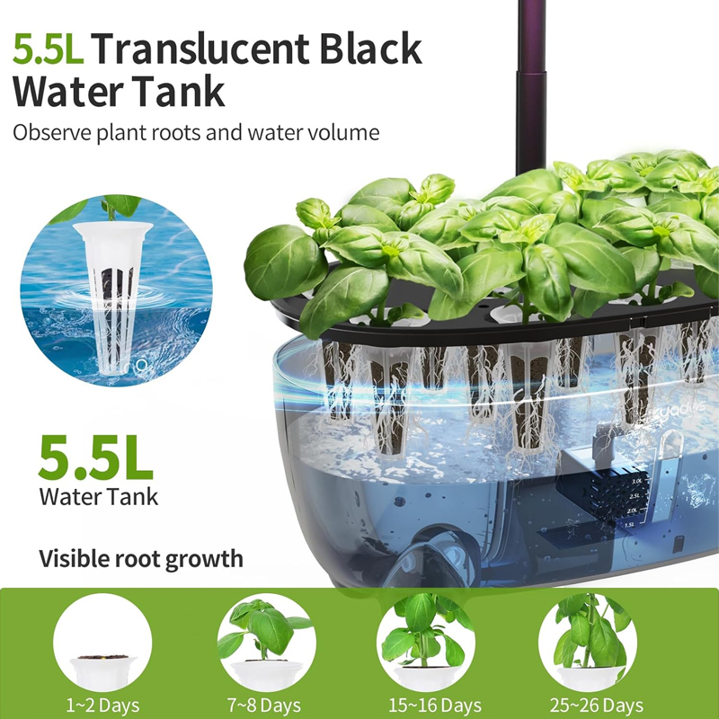 12 Pods Hydroponic Grow System, Indoor Herb Garden Planter with LED Growth Lamp, 5.5L Translucent Black Water Tank, Observe Plant roots and water volume