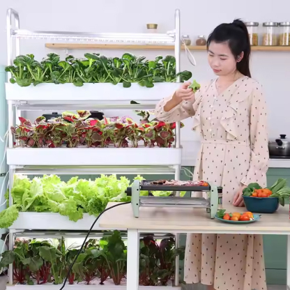 120 Pods Hydroponic Vertical Gardening Systems, 4-layer Hydroponics Growing System Kits with 48L Water Tank, LED Grow Lights, Monitoring Alarm, Picking vegetables.