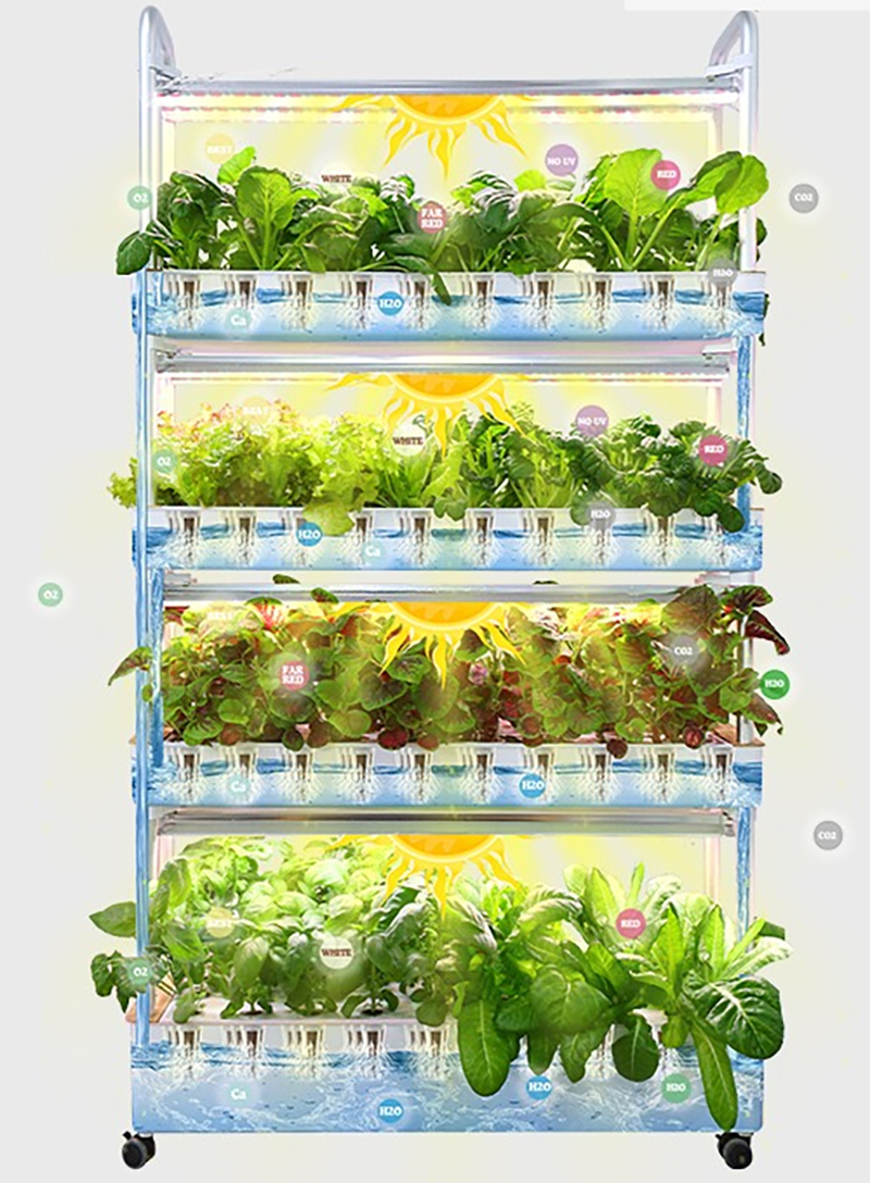 Fully Automated Indoor Vertical Growing System