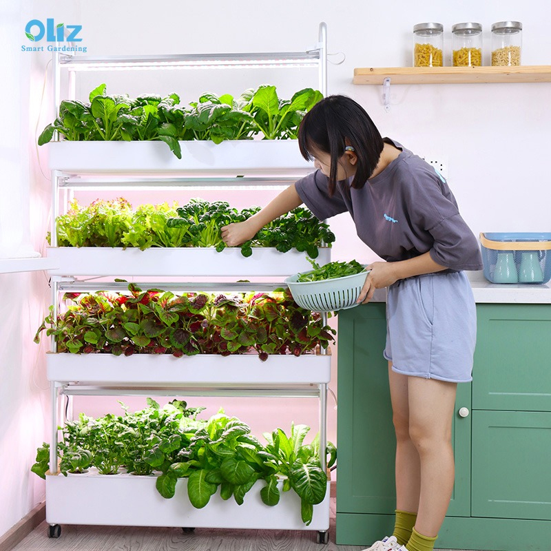 120 Pods Hydroponic System with LED Grow Light Indoor Vertical Garden, Picking vegetables