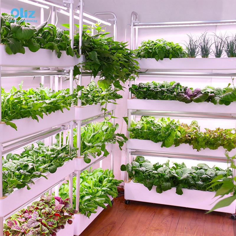 Multiple hydroponic systems to grow vegetables
