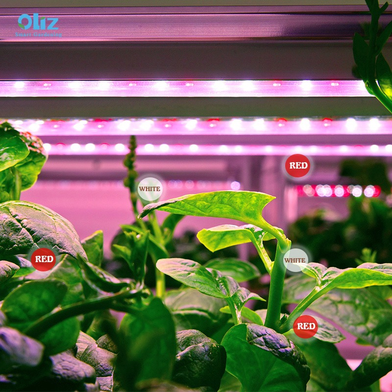 120 Pods Hydroponic Vertical Gardening Systems, 4-layer Hydroponics Growing System Kits with 48L Water Tank, LED Grow Lights