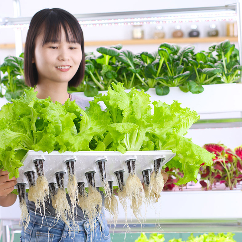 120 Pods Hydroponic Vertical Gardening Systems, 4-layer Hydroponics Growing System Kits with 48L Water Tank, LED Grow Lights, Monitoring Alarm, A whole row of draining clamps to show