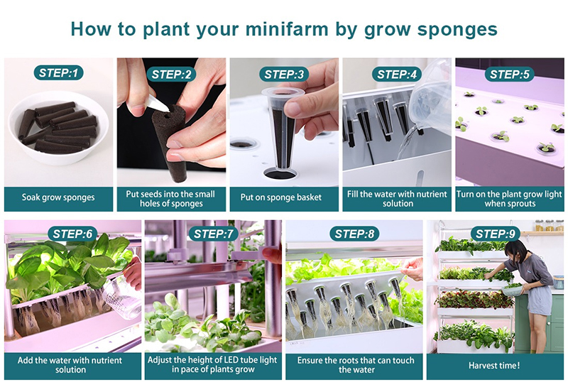 How to plant your minifarm by grow sponges