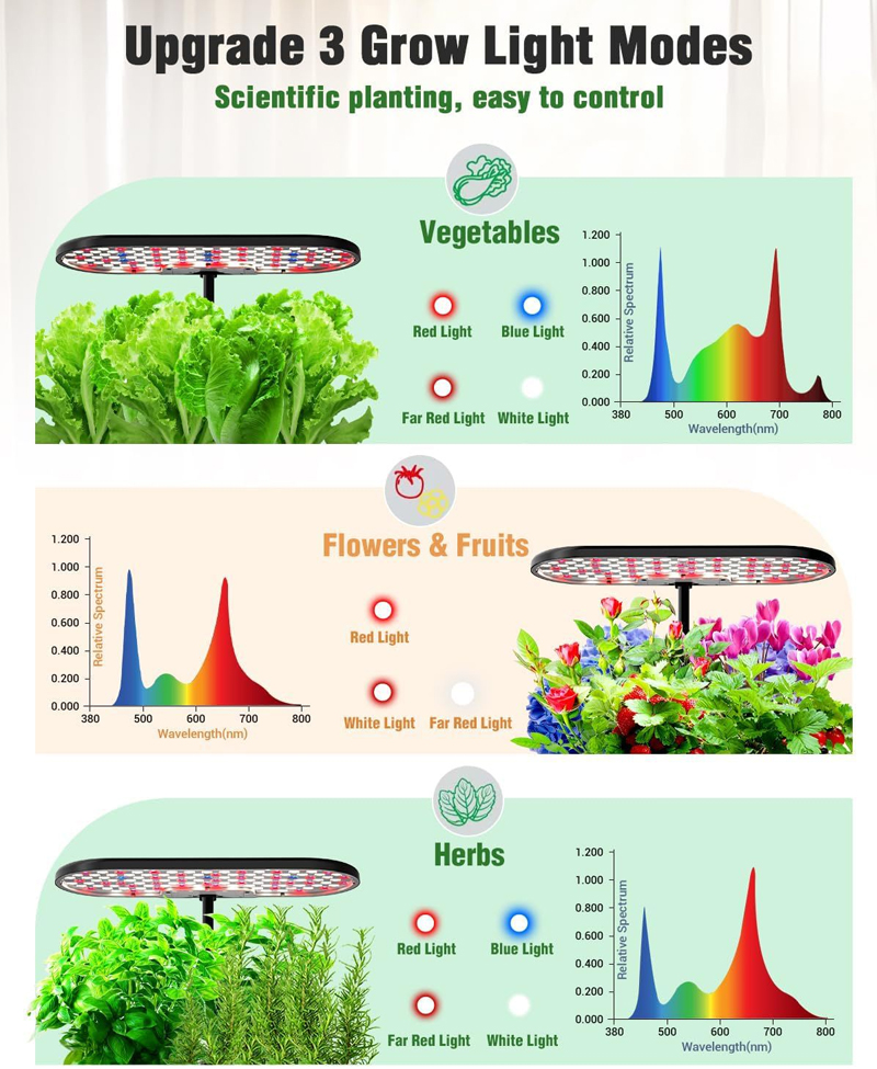 3 Lighting Modes and 2 Timer Options