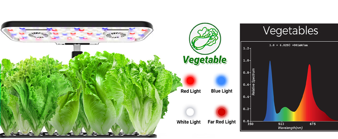 17 Pods Growing Hydroponic Vegetable System Kit