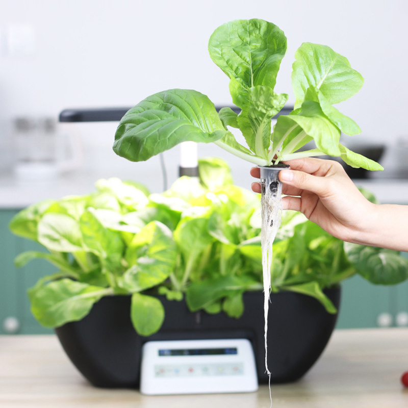 17 Pods Growing Hydroponic Vegetable System Kit for Sale, Indoor Smart Garden Planter