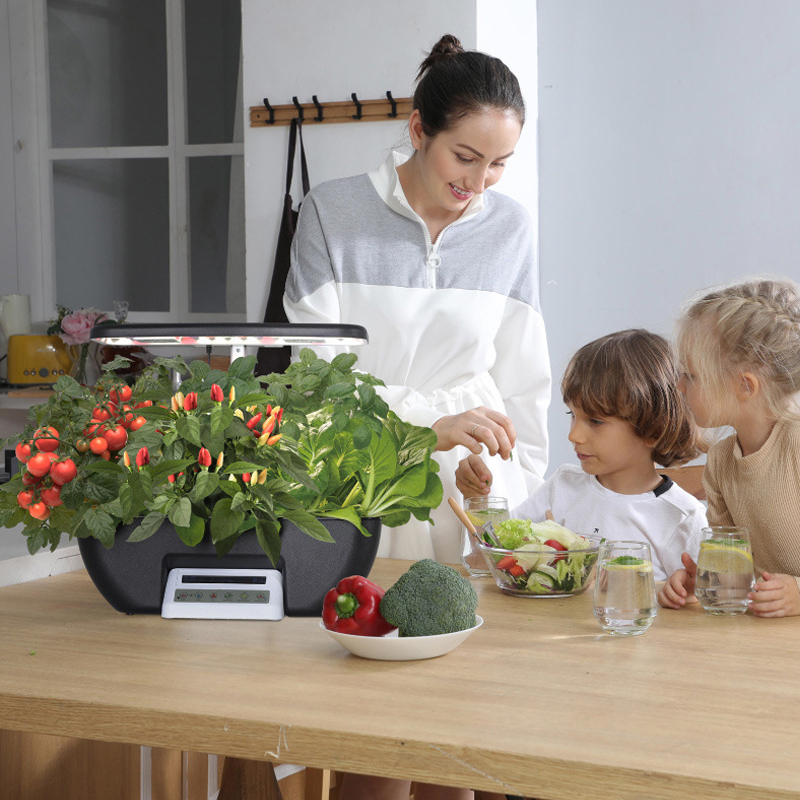 17 Pods Growing Hydroponic Vegetable System Kit indoor at home