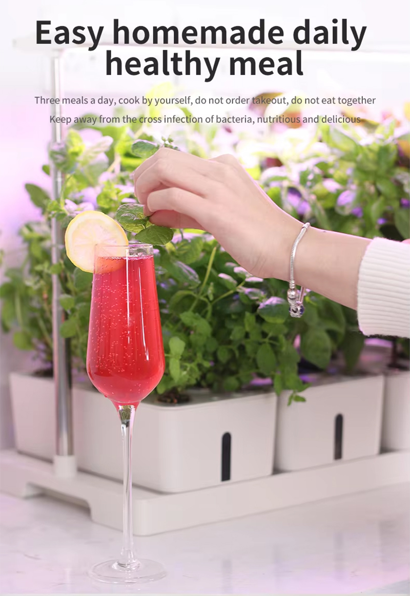 20 Pods Hydroponic System Kit, LED Grow Light Timer Indoor Herb Garden, Easy homemade daily healthy meal