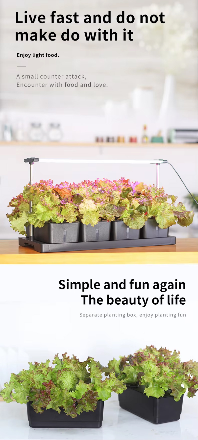 20 Pods Hydroponic System Kit, LED Grow Light Timer Indoor Herb Garden, Live fast and do not make do with it