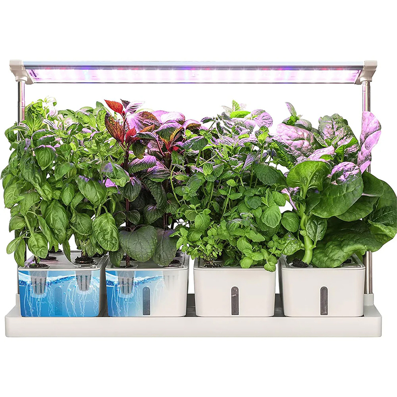 20 Pods Hydroponic System Kit, LED Grow Light Timer Indoor Herb Garden