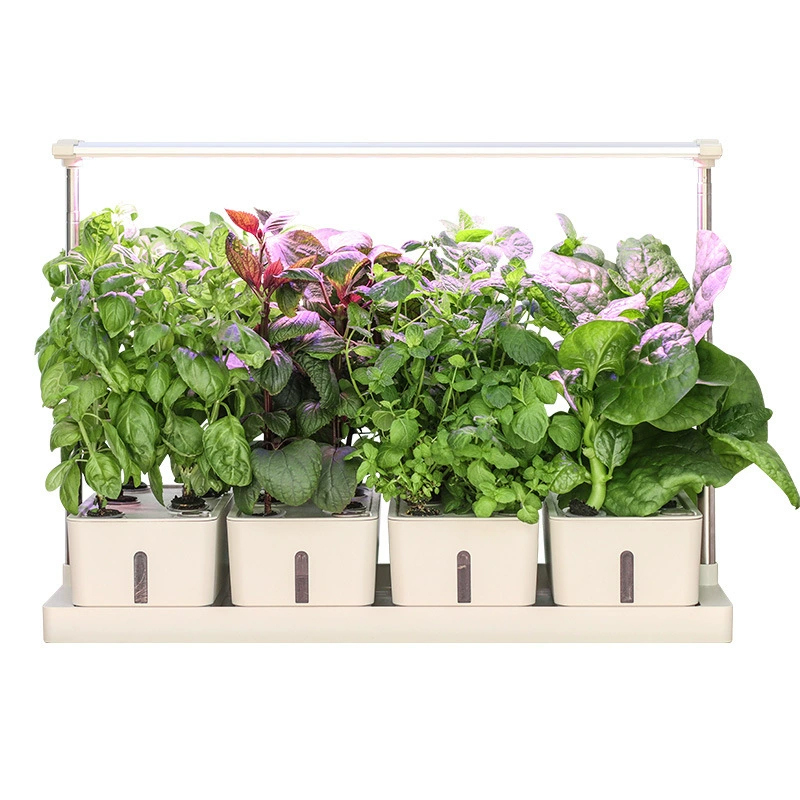 20 Pods Hydroponics Growing System Kit w/ LED Grow Light & Timer – Indoor/Outdoor Herb Garden